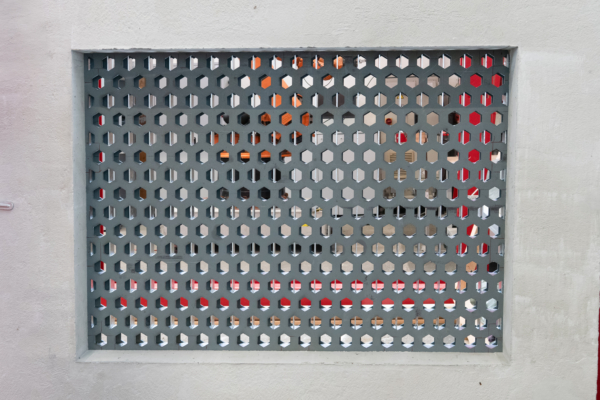 RC5 Schutzgitter von Hodapp RC5 Schutzgitter von Hodapp montiert